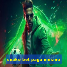 snake bet paga mesmo