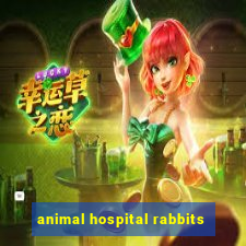 animal hospital rabbits