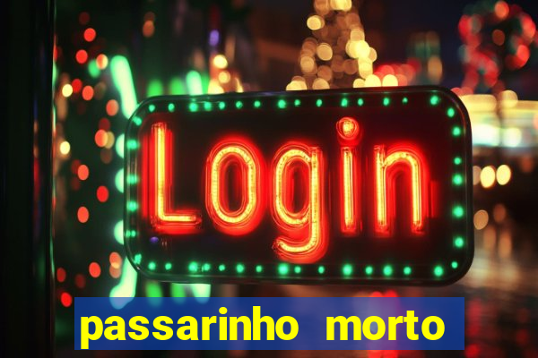 passarinho morto significado espiritual