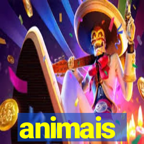 animais-pg.com