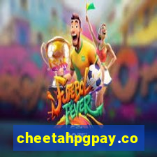 cheetahpgpay.com