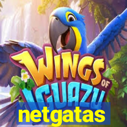 netgatas