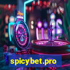 spicybet.pro