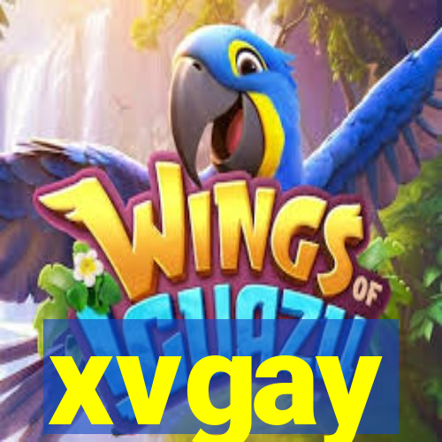 xvgay