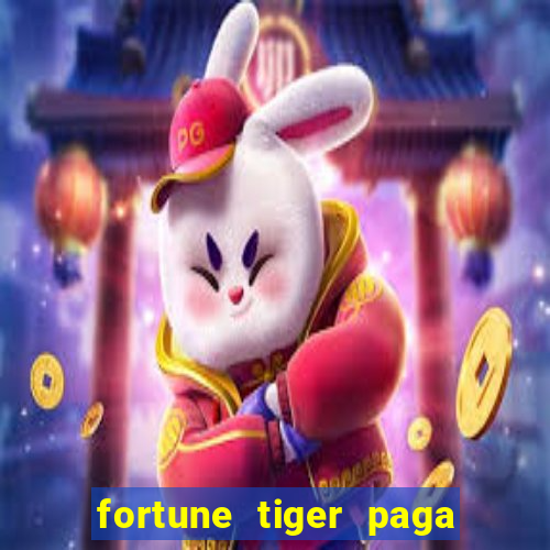 fortune tiger paga de madrugada