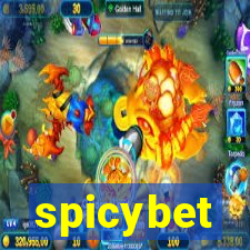 spicybet-4.com